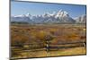 Autumn, Cunningham Cabin Area, Grand Tetons, Grand Teton NP, Wyoming-Michel Hersen-Mounted Photographic Print