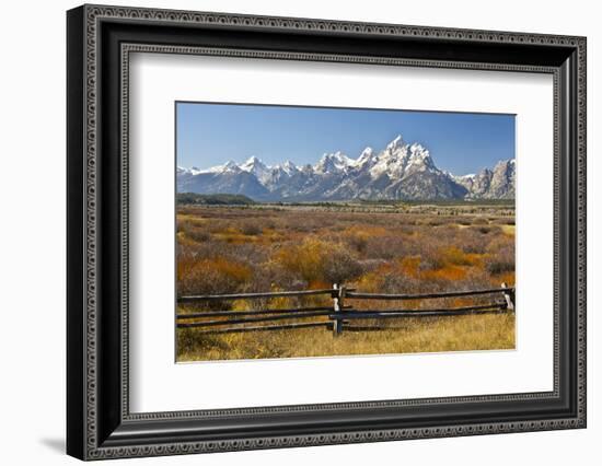 Autumn, Cunningham Cabin Area, Grand Tetons, Grand Teton NP, Wyoming-Michel Hersen-Framed Photographic Print