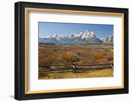 Autumn, Cunningham Cabin Area, Grand Tetons, Grand Teton NP, Wyoming-Michel Hersen-Framed Photographic Print