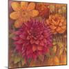 Autumn Dahlias 1-Vera Hills-Mounted Art Print