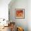 Autumn Dahlias 2-Vera Hills-Framed Premium Giclee Print displayed on a wall