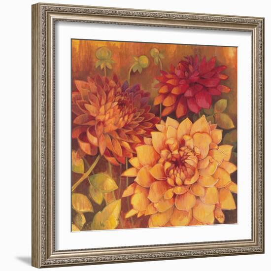 Autumn Dahlias 2-Vera Hills-Framed Art Print