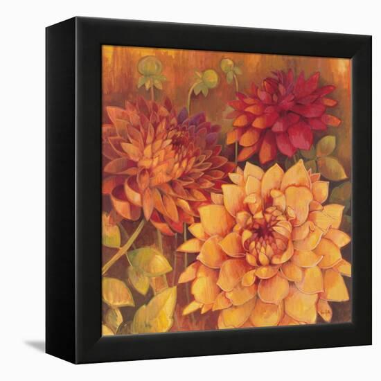 Autumn Dahlias 2-Vera Hills-Framed Stretched Canvas