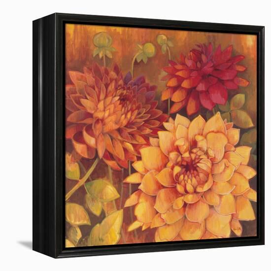 Autumn Dahlias 2-Vera Hills-Framed Stretched Canvas