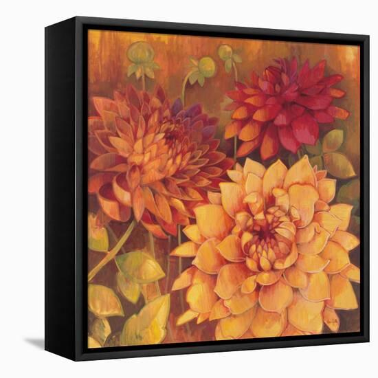 Autumn Dahlias 2-Vera Hills-Framed Stretched Canvas