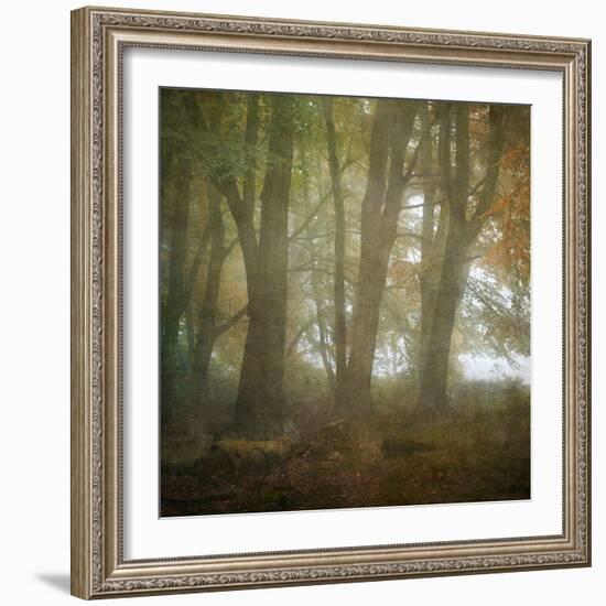 Autumn Dawn-Doug Chinnery-Framed Photographic Print