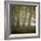 Autumn Dawn-Doug Chinnery-Framed Photographic Print