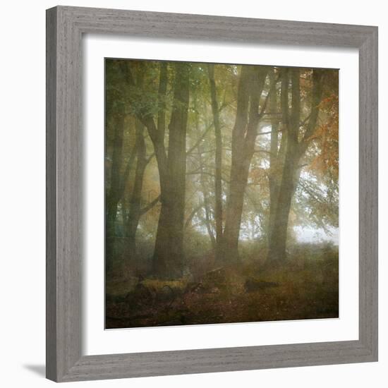 Autumn Dawn-Doug Chinnery-Framed Photographic Print