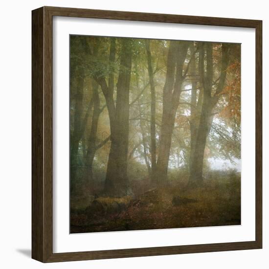 Autumn Dawn-Doug Chinnery-Framed Photographic Print