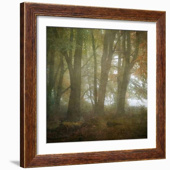 Autumn Dawn-Doug Chinnery-Framed Photographic Print