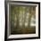 Autumn Dawn-Doug Chinnery-Framed Photographic Print