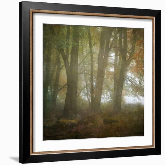 Autumn Dawn-Doug Chinnery-Framed Photographic Print