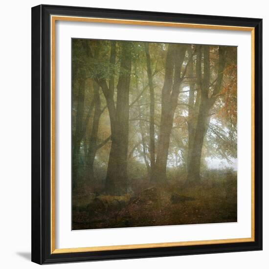 Autumn Dawn-Doug Chinnery-Framed Photographic Print