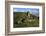 Autumn Day at the Imperial Castle Near Cochem on the Moselle-Uwe Steffens-Framed Photographic Print