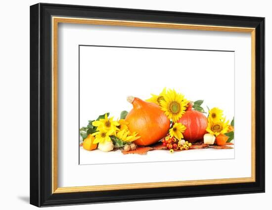 Autumn Decoration with Sunflowers and Hokkaido Pumpkins-IngridHS-Framed Photographic Print