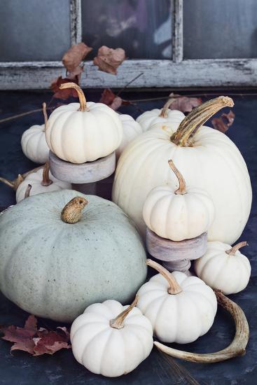 'Autumn Decorations with Heirloom Mini White and Grey Pumpkins ...