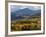 Autumn Descends on the Eastern Sierra Mountains-null-Framed Photographic Print