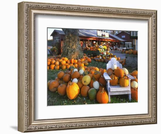 Autumn Display of Pumpkins New England, Maine, USA-Jaynes Gallery-Framed Photographic Print