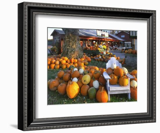 Autumn Display of Pumpkins New England, Maine, USA-Jaynes Gallery-Framed Photographic Print