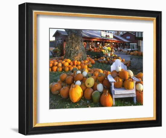 Autumn Display of Pumpkins New England, Maine, USA-Jaynes Gallery-Framed Photographic Print