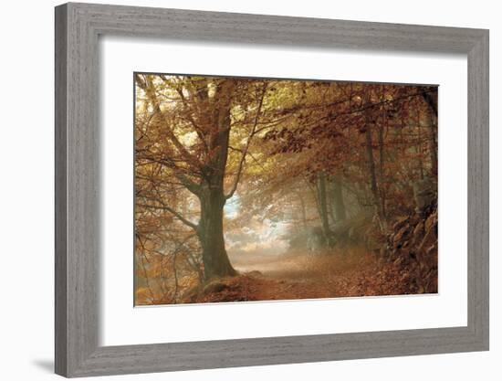 Autumn Dream-Toni Vila-Framed Giclee Print