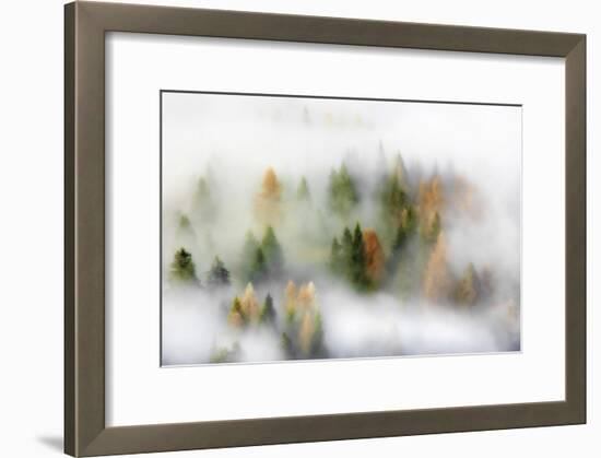 Autumn Dream-Kristjan Rems-Framed Giclee Print