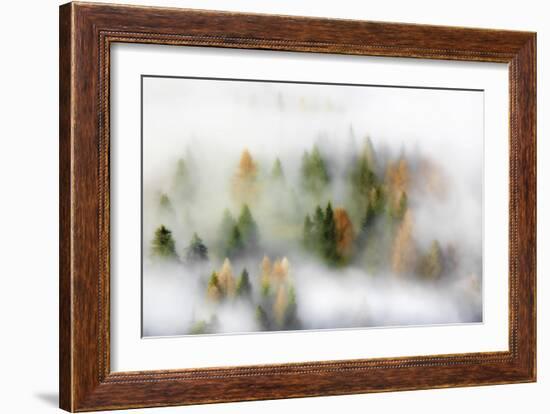 Autumn Dream-Kristjan Rems-Framed Giclee Print