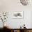 Autumn Dream-Kristjan Rems-Framed Giclee Print displayed on a wall