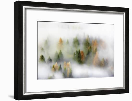 Autumn Dream-Kristjan Rems-Framed Giclee Print