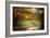 Autumn Dream-John Rivera-Framed Photographic Print