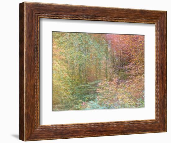 Autumn Dreams II-Doug Chinnery-Framed Photographic Print