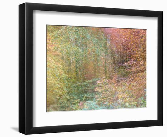 Autumn Dreams II-Doug Chinnery-Framed Photographic Print