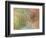 Autumn Dreams II-Doug Chinnery-Framed Photographic Print