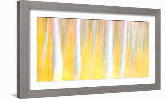 Autumn Dreams-Doug Chinnery-Framed Photographic Print