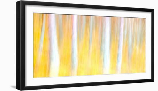 Autumn Dreams-Doug Chinnery-Framed Photographic Print