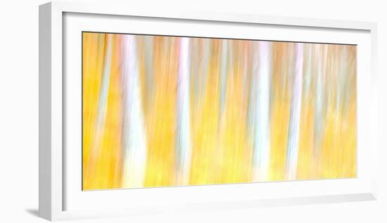 Autumn Dreams-Doug Chinnery-Framed Photographic Print