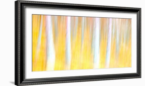 Autumn Dreams-Doug Chinnery-Framed Photographic Print