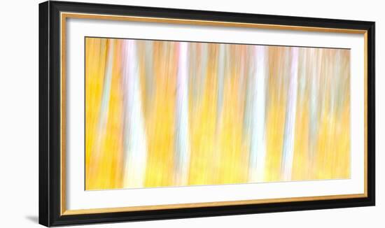 Autumn Dreams-Doug Chinnery-Framed Photographic Print