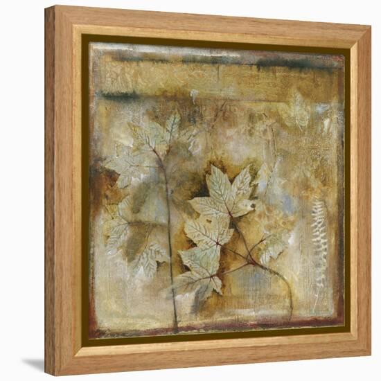 Autumn Elegance I-Douglas-Framed Stretched Canvas