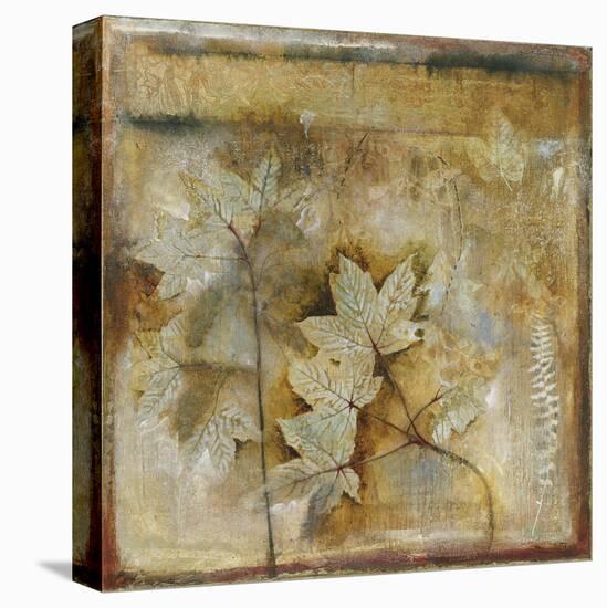 Autumn Elegance I-Douglas-Framed Stretched Canvas