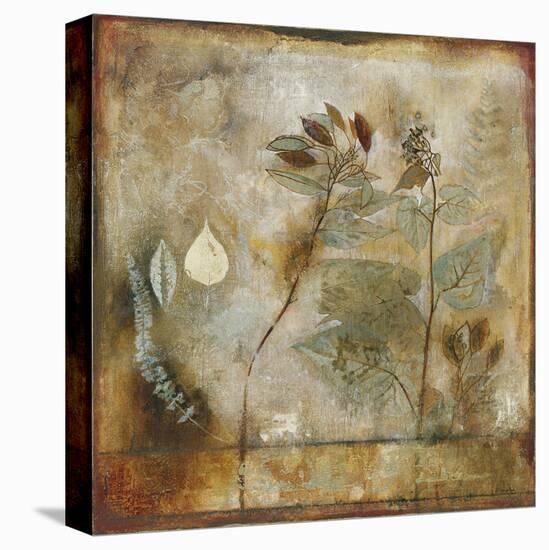 Autumn Elegance II-Douglas-Framed Stretched Canvas