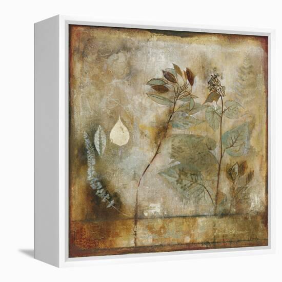 Autumn Elegance II-Douglas-Framed Stretched Canvas