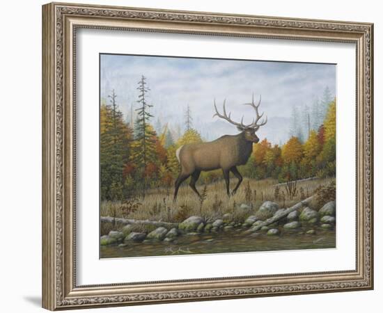 Autumn Elk-Robert Wavra-Framed Giclee Print