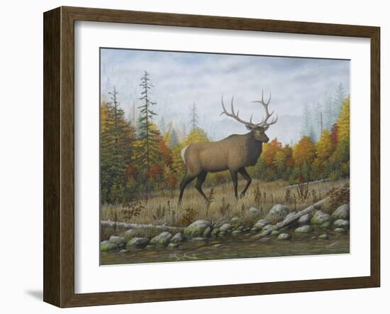 Autumn Elk-Robert Wavra-Framed Giclee Print