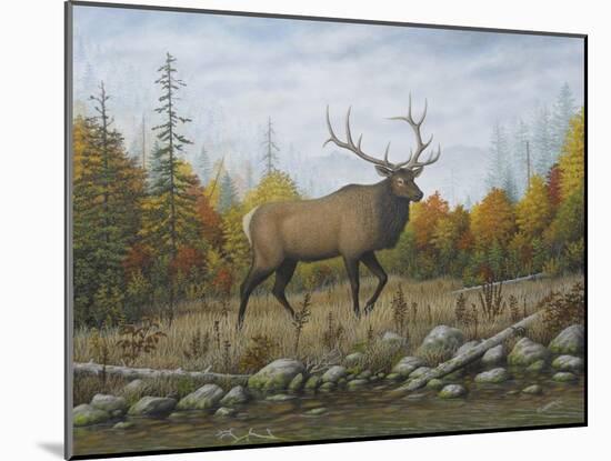 Autumn Elk-Robert Wavra-Mounted Giclee Print