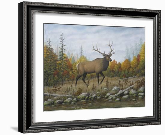 Autumn Elk-Robert Wavra-Framed Giclee Print