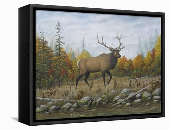 Autumn Elk-Robert Wavra-Framed Premier Image Canvas