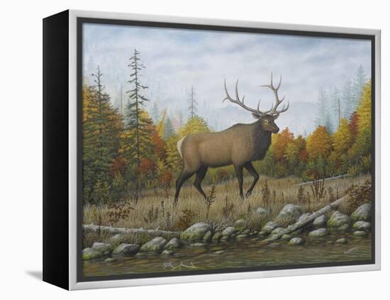 Autumn Elk-Robert Wavra-Framed Premier Image Canvas