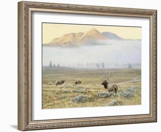 Autumn Elk-Michael Budden-Framed Giclee Print