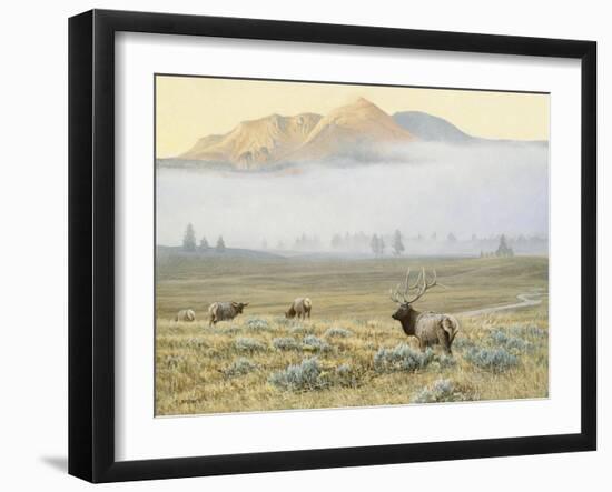 Autumn Elk-Michael Budden-Framed Giclee Print